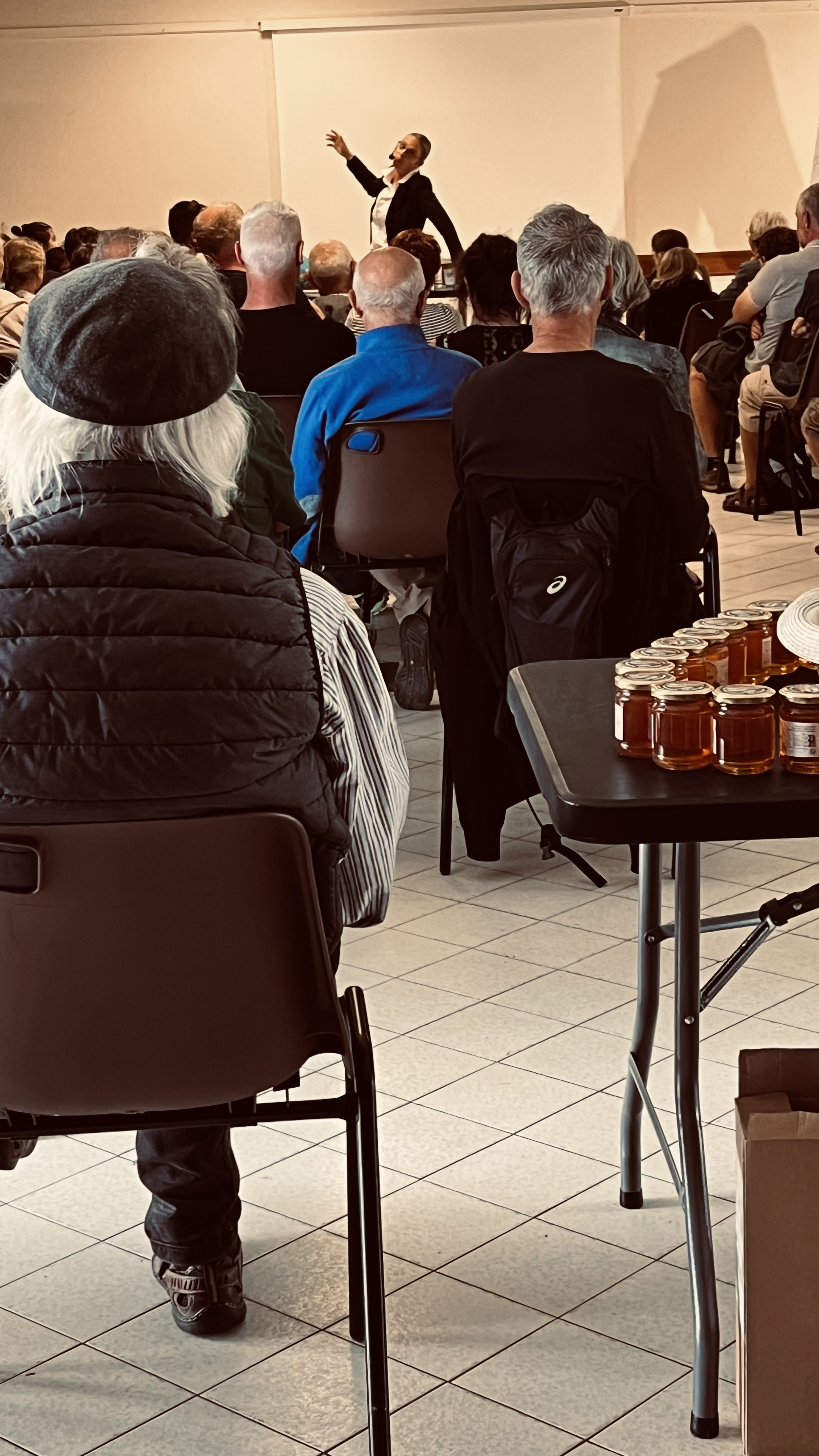 Public pendant le spectacle