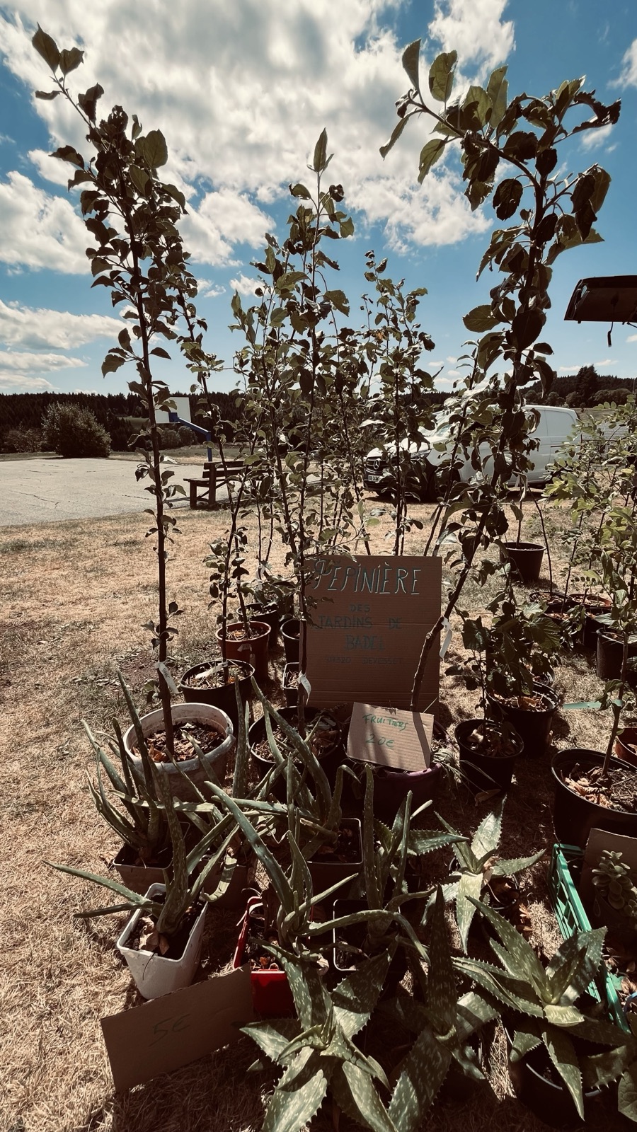 Stand de plants et végétaux