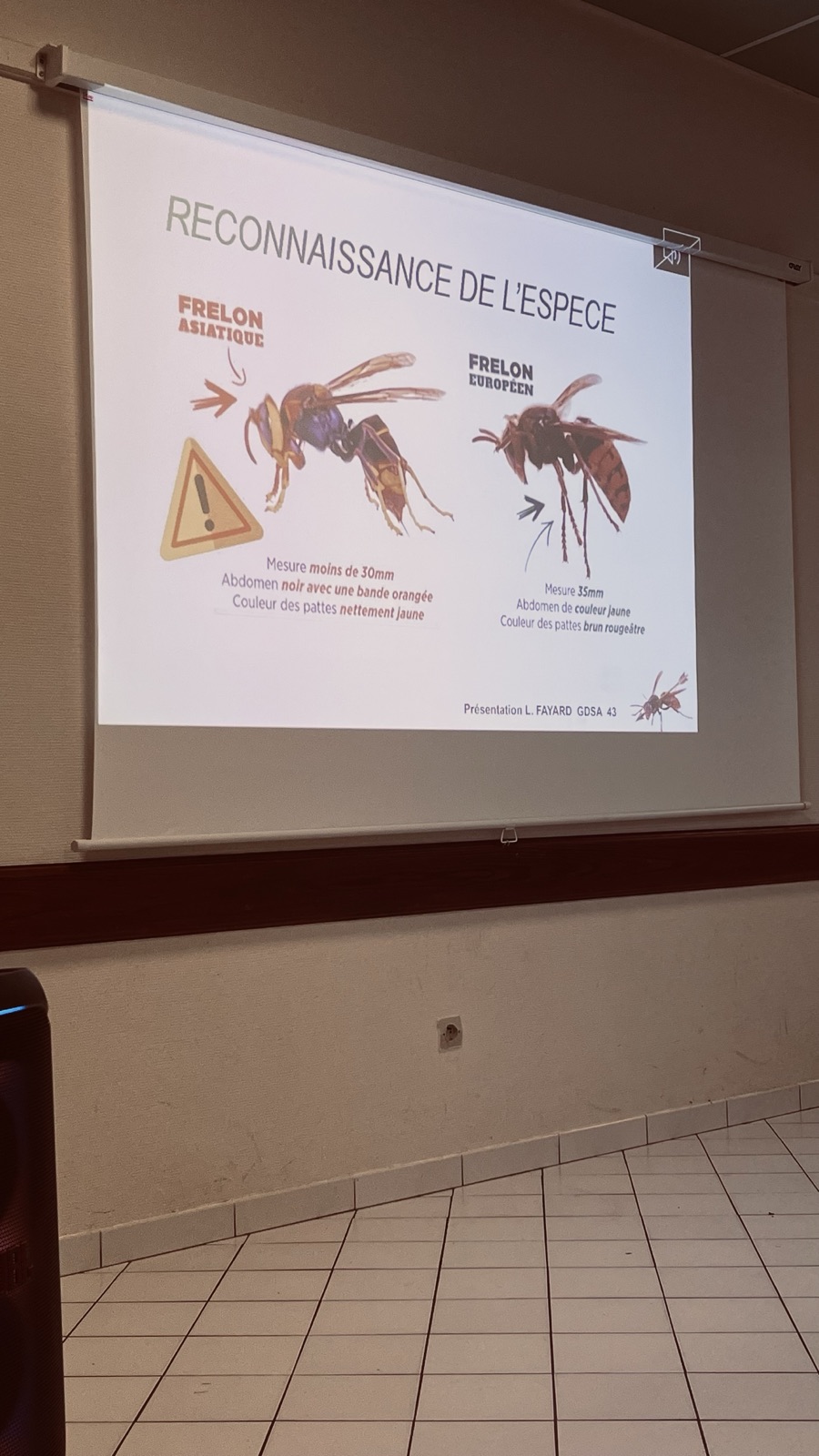 Conférence en salle, projection