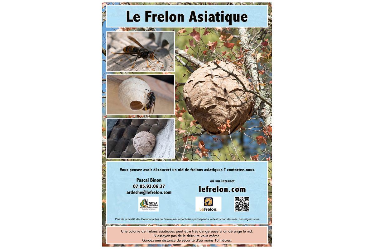 Frelon 3
